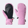 PrimaLoft® Professional Waterproof Ski Gloves (Frostvine Purple) – NANEND